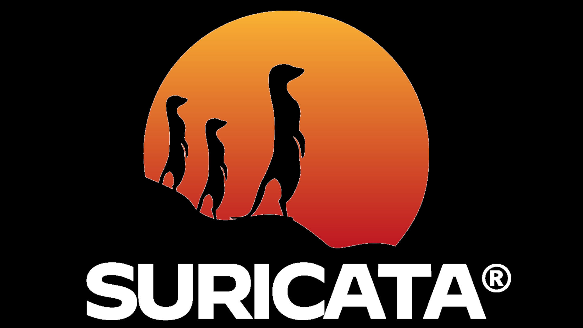 Suricata IPS Mode